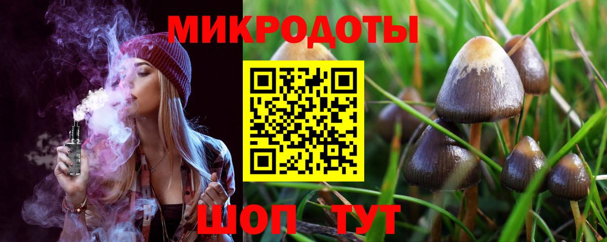Псилоцибиновые грибы Psilocybe  Вход с VPN  Ликино-Дулёво 